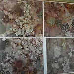 Abitazione Pigneto Roma